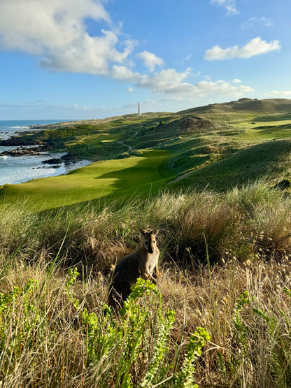 The Roo Canada - Red Rooster Golf Inc.