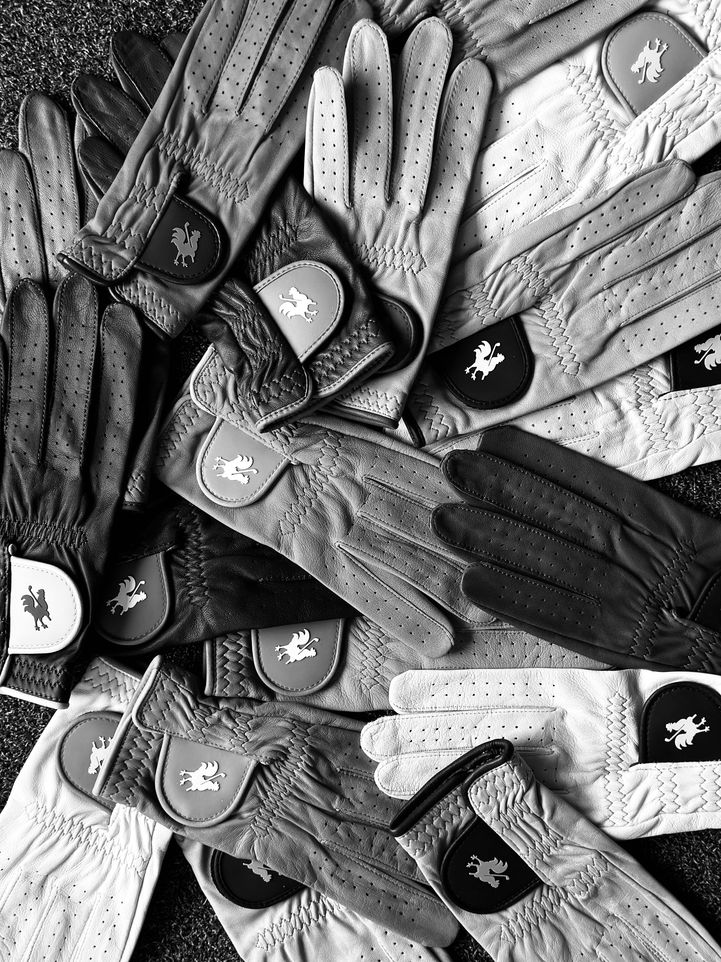 MYSTERY GLOVES