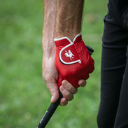 The Comb 2.0 Canada - Red Rooster Golf Inc.