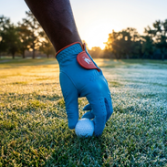 The Sunrise Canada - Red Rooster Golf Inc.