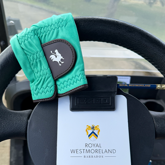 Launch Date: May 27 2026