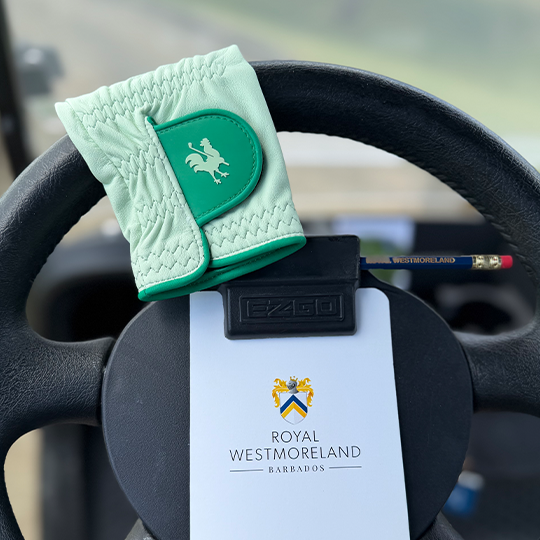 Launch Date: May 27 2026